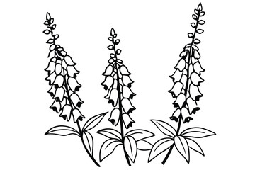 foxglove silhouette line art vector illustration with a white background © pipp99