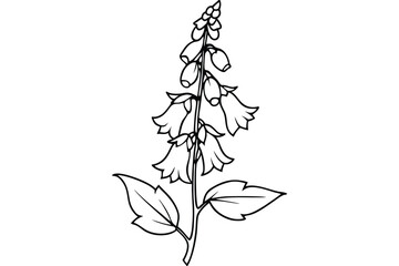 foxglove silhouette line art vector illustration with a white background © pipp99