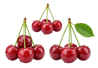 Dark red cherries with green stems, water droplets, leaf, arranged on transparent background with negative space, sharp macro focus, concept of healthy natural goodness