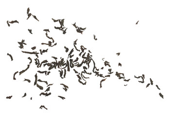 Dark green tea flying, dry leaves Oolong tea, Camellia sinensis, isolated on white background, top view