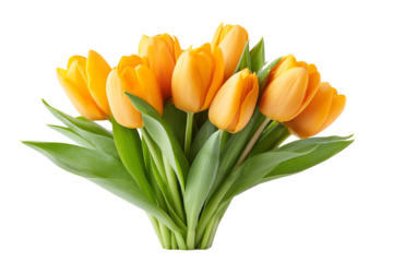 A vibrant bouquet of yellow tulips with lush green leaves, perfect for brightening any space.