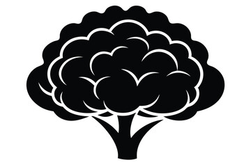 cauliflower silhouette line art vector illustration with a white background