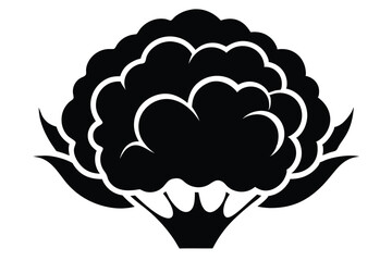 cauliflower silhouette line art vector illustration with a white background