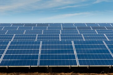 たくさん並んだ太陽光発電用のパネル