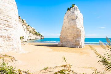 Iconic Pizzomunno monolith rock rising from the golden sands on Vieste Beach, Apulia, Italy