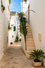 Quiet stone alleyway lined with potted palms and hanging laundry between white buildings in Locorotondo town, Apulia, Italy