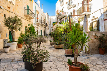 Peaceful alleyway with potted plants and traditional Mediterranean architecture in Locorotondo town, Apulia, Italy