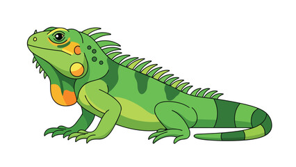 Obraz premium Vibrant emerald iguana illustration showcasing vivid green scales and striking orange dewlap in a clear, isolated cartoon drawing for educational