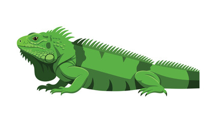 Obraz premium Vibrant green iguana vector illustration showcasing a captivating tropical reptile's full body profile in an artistic and detailed manner, perfect