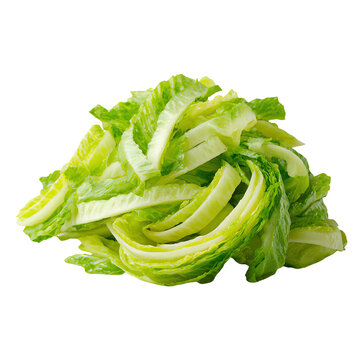 Fresh, chopped romaine lettuce on a white isolated background.