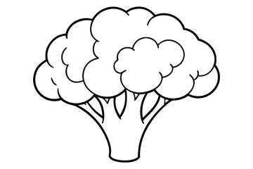 broccoli silhouette line art vector illustration with a white background