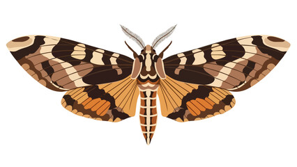 Vector illustration of a majestic moth with intricate geometric wing patterns in warm earthy tones