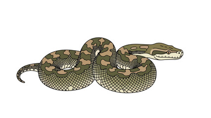 Fototapeta premium Illustrative depiction of a coiled jungle reptile with natural camouflage patterns