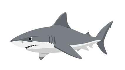 Obraz premium Cartoon gray shark swimming with sharp teeth illustration on a clear white background