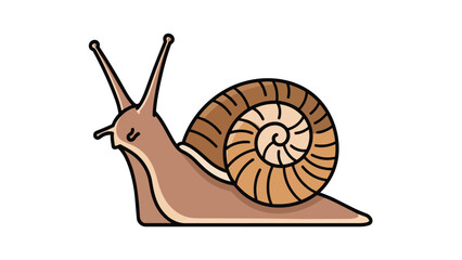 Charming slow-moving garden snail featuring a detailed spiral shell and distinct antennae illustration.