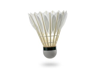Badminton shuttlecock with dark green stripe | badminton, shuttlecock, racket, sport, athlete, match, tournament, training, competition, fitness.