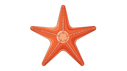 Vibrant orange five-armed sea star illustration on white background, showcasing intricate marine life form.