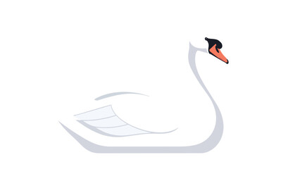 Graceful white swan illustration with minimalist design capturing elegant avian beauty, showcasing natural tranquility and artistic simplicity in a