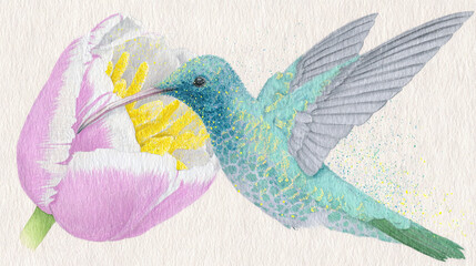   Watercolor Hummingbird with Flower & Pink Tulip