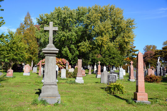The Saint John Anglican Church church was donated by Captain John Savage, he and his wife Ann are both buried in the Saint John Cemetery.
