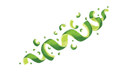 Obraz premium Vibrant lime zest spirals and fragments dance gracefully, illustrating freshness. Perfect for culinary art, drinks, and healthy branding, conveying