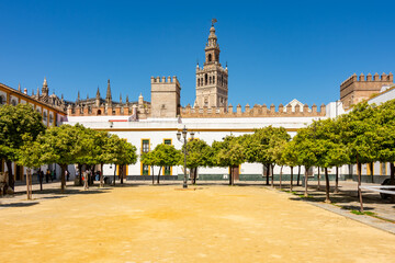 Giralda tower of Seville cathedral and courtyard of orange trees, Spain