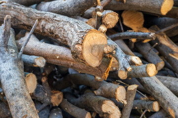 Stack of cut firewood prepared for fireplace use