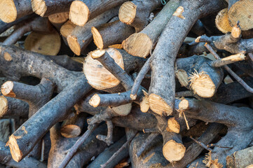 Stack of cut firewood prepared for fireplace use