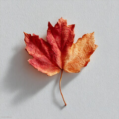 Colorful autumn leaf resting on light background showcasing nature's beauty in detail