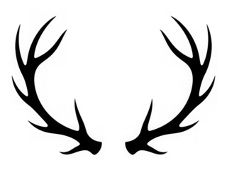 Rustic deer antlers silhouette vector graphic 
