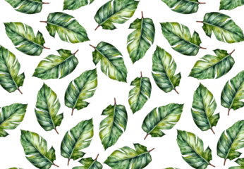 fruit pattern illustration