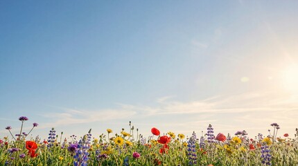 Sunny Spring Flower Field Background for Corporate Banner and Marketing Slides 4K