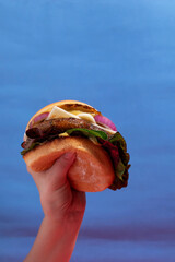 Contrast of Savory Burger and Solid Blue Studio Wall
