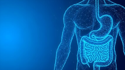 Digital wireframe visualization of the human digestive system anatomy including the stomach and intestines highlighted in glowing blue lines against a dark background representing internal health tech