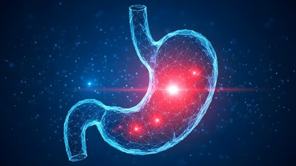Digital abstract representation of the human stomach organ rendered as a glowing blue wireframe network illustrating gastrointestinal health concerns and medical technology research concepts
