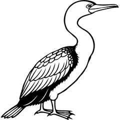 Flying Cormorant Illustration
