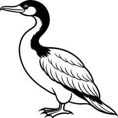 Flying Cormorant Illustration