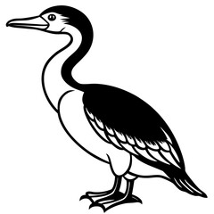 Flying Cormorant Illustration