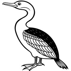 Flying Cormorant Illustration