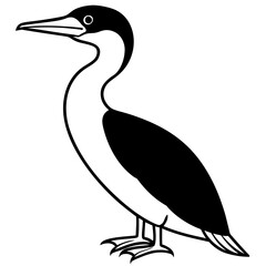 Flying Cormorant Illustration