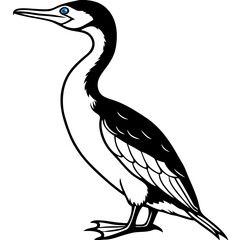 Flying Cormorant Illustration