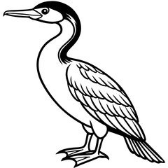 Flying Cormorant Illustration