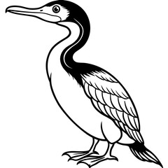 Flying Cormorant Illustration