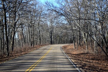 Winter mountain road with trees