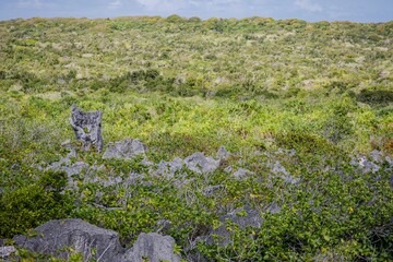 Makatea Island &ndash; Rugged Raised Atoll of French Polynesia