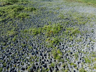Makatea Island &ndash; Rugged Raised Atoll of French Polynesia