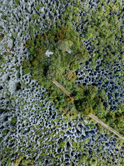 Makatea Island &ndash; Rugged Raised Atoll of French Polynesia