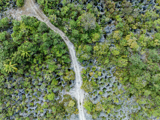 Makatea Island &ndash; Rugged Raised Atoll of French Polynesia