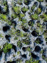 Makatea Island &ndash; Rugged Raised Atoll of French Polynesia