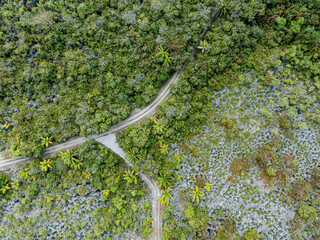 Makatea Island &ndash; Rugged Raised Atoll of French Polynesia